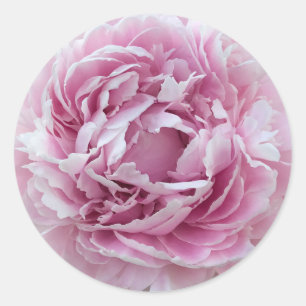 Pink Perky Peony  Runder Aufkleber