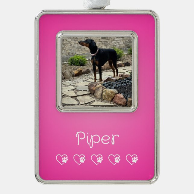 Pink Pet Photo Ornament Framed, Dog Lovers Rahmen-Ornament Silber (Vorderseite)