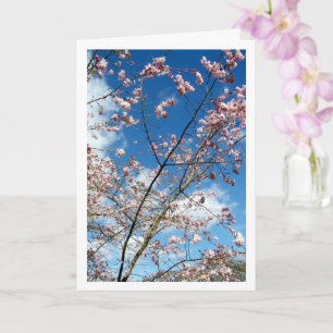Pink Petals in Blue Sky Landschaft Karte