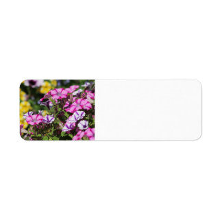 Pink-Petunia-Adressetikett