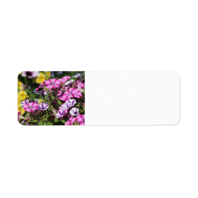 Pink-Petunia-Adressetikett (Vorne)