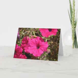 Pink-Petunia-Blume Karte