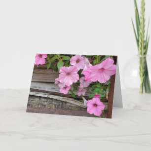 Pink Petunias auf rustikalem Holz Karte