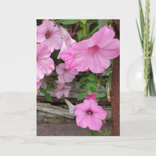 Pink Petunias Denken Sie an Sie Karte