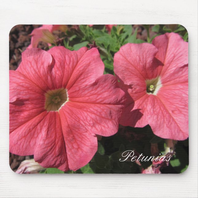 Pink Petunias Mousepad (Vorne)