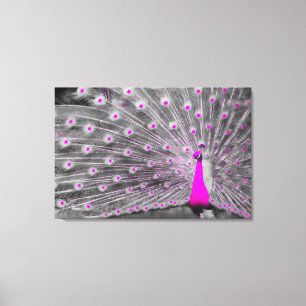 Pink-Pfau-Wrapped Canvas Leinwanddruck