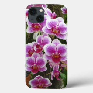 Pink Phalaenopsis iPhone 13 Fall Case-Mate iPhone Hülle
