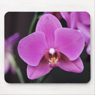 Pink Phalaenopsis Mousepad