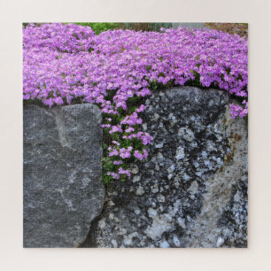 Pink Phlox auf Boulder Puzzle