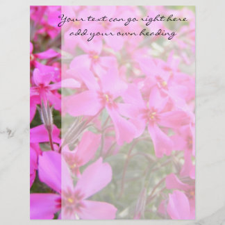 Pink Phlox Blume Letterhead