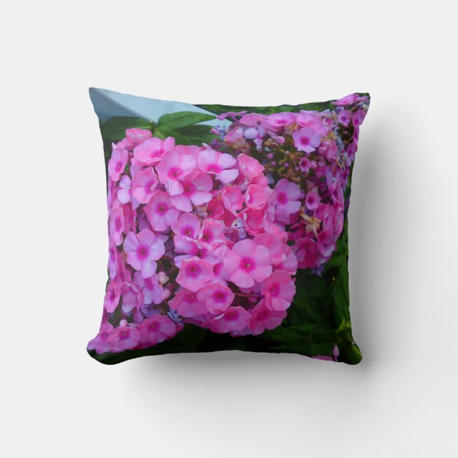 Pink Phlox Kissen (Vorderseite)