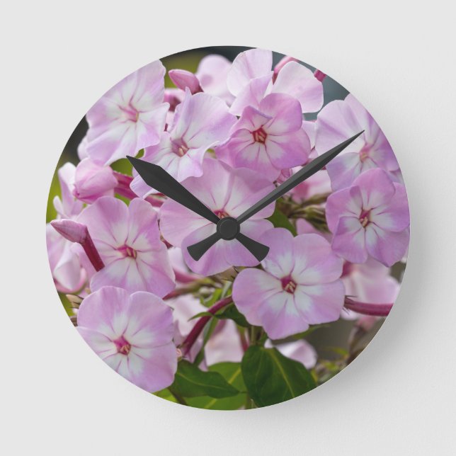 Pink Phlox Runde Wanduhr (Vorderseite)