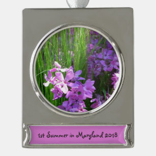 Pink Phlox und Gras Sommer Blüten Banner-Ornament Silber