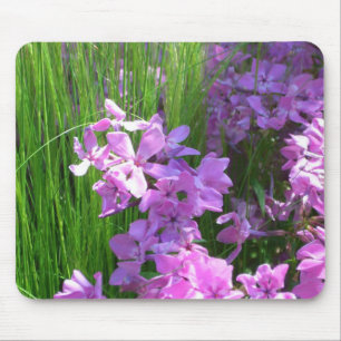 Pink Phlox und Gras Sommer Blüten Mousepad