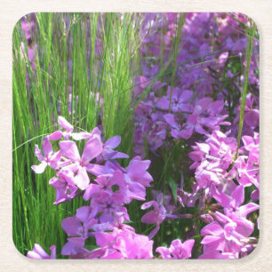 Pink Phlox und Gras Sommer Blüten Rechteckiger Pappuntersetzer