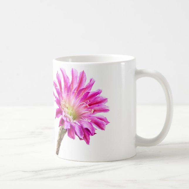 Pink Piazza Kaktus Blume in Blüte Tasse (Rechts)