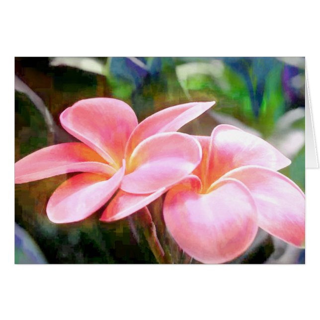 Pink Plumeria (Vorderseite (Horizontal))