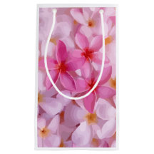 Pink Plumeria Blume Pattern