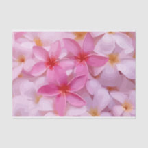 Pink Plumeria Blume Pattern