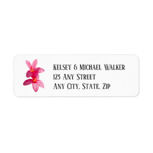 Pink Plumeria Blume, tropisch, floral