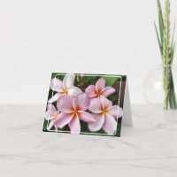 Pink Plumeria Faltschachtel Danke Karte