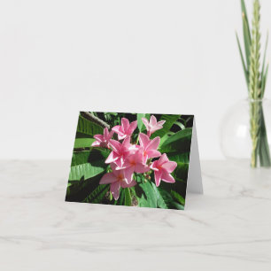 Pink Plumeria Foto Faltschachtel