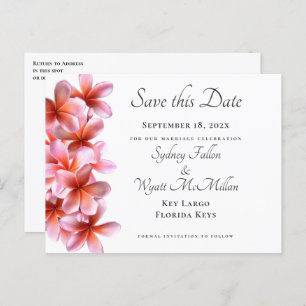 Pink Plumeria Save the Date Weiße Postkarte