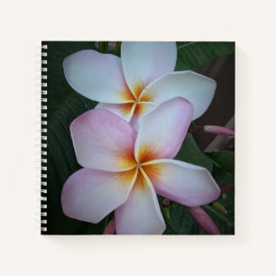 Pink Plumeria Spiral Notebook Notizbuch