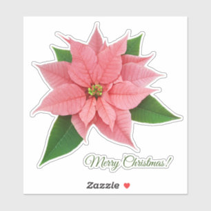Pink Poinsettia-Aufkleber Aufkleber