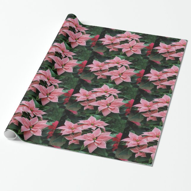 Pink Poinsettia Holiday Wrapping Paper Geschenkpapier (Ungerollt)