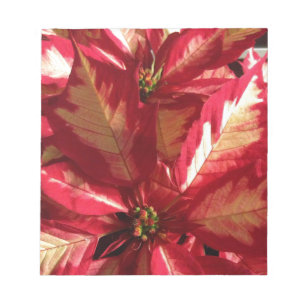 Pink Poinsettia Notizblock
