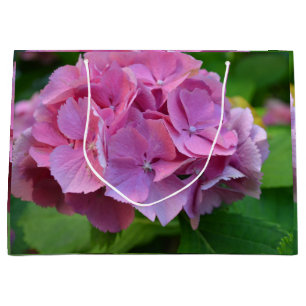 Pink Pompom Hydrangea Hortensia Blume Große Geschenktüte