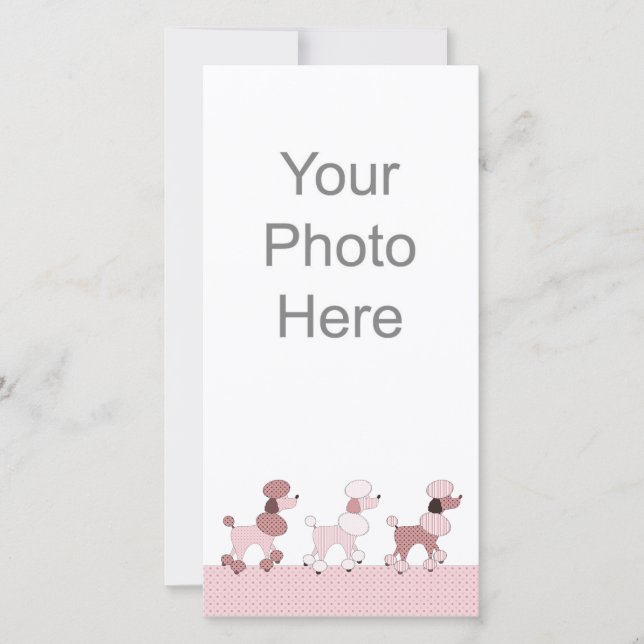 Pink Poodles on Parade Foto Card (Vorderseite)