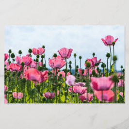 Pink Poppies Briefpapier