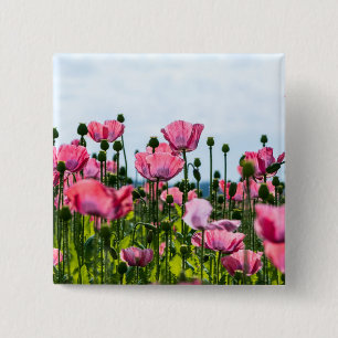 Pink Poppies Button