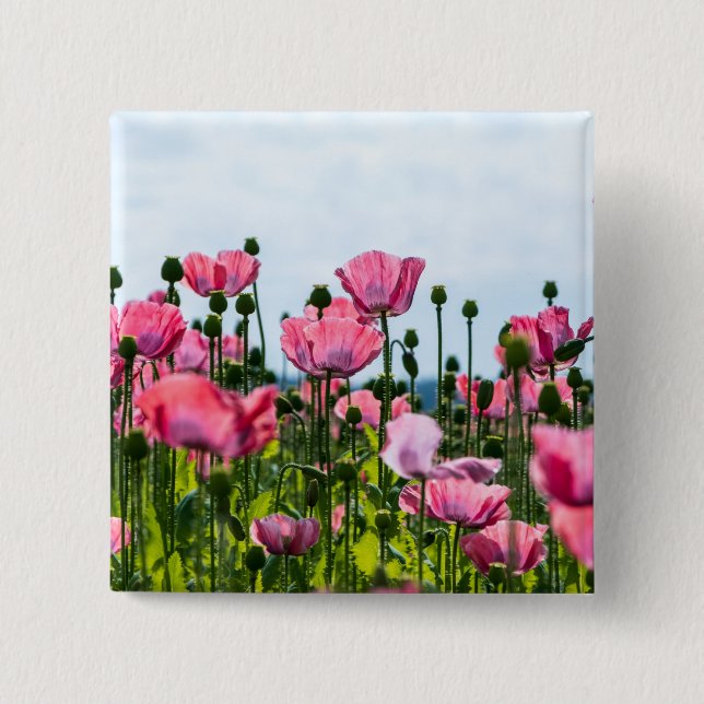 Pink Poppies Button (Vorderseite)