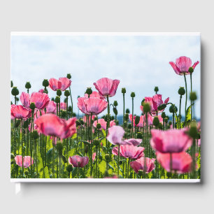 Pink Poppies Gästebuch