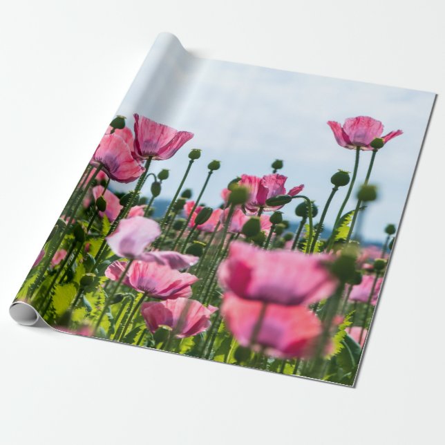 Pink Poppies Geschenkpapier (Ungerollt)