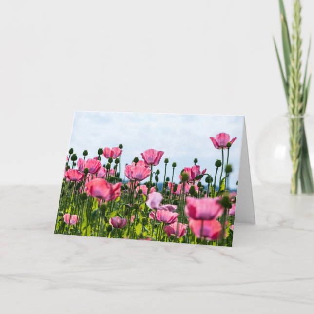 Pink Poppies Karte (Vorderseite)