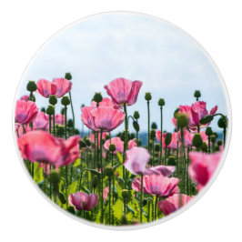 Pink Poppies Keramikknauf