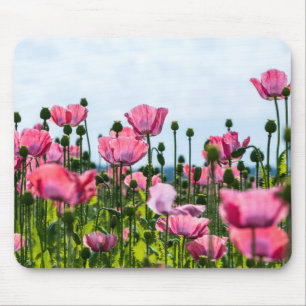 Pink Poppies Mousepad