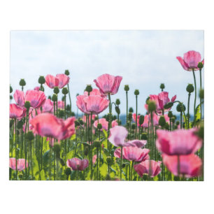 Pink Poppies Notizblock