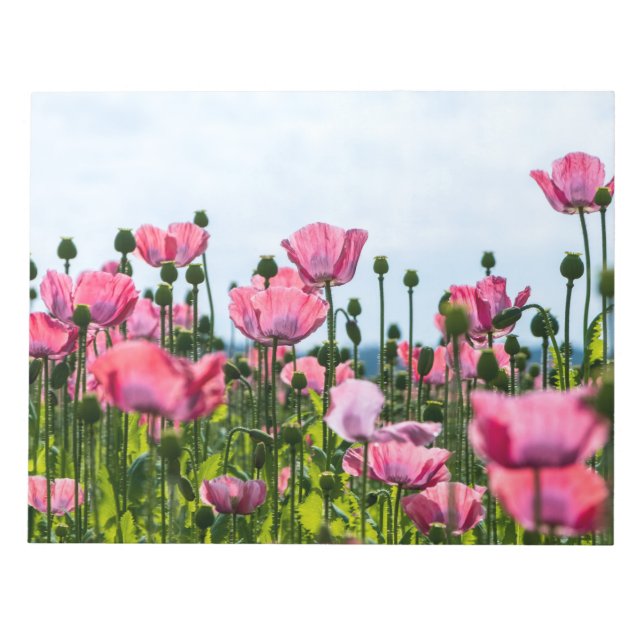 Pink Poppies Notizblock (Vorderseite)
