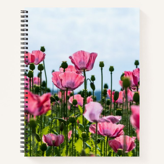 Pink Poppies Notizbuch (Vorderseite)