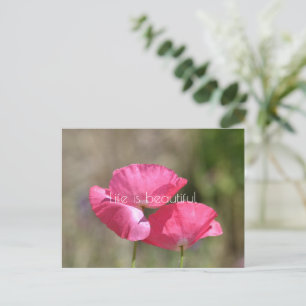Pink Poppies Postkarte