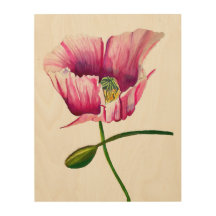 Pink Poppy Aquarell Blume hübsche Kunst