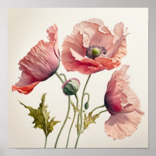 Pink Poppy Blume Art Print Poster