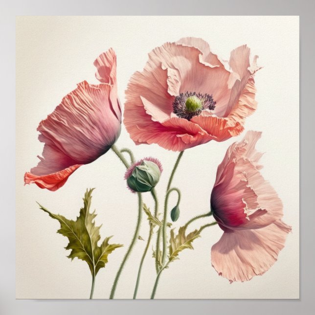 Pink Poppy Blume Art Print Poster (Vorne)