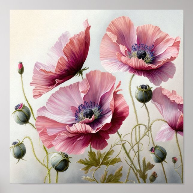 Pink Poppy Blume Art Print Poster (Vorne)