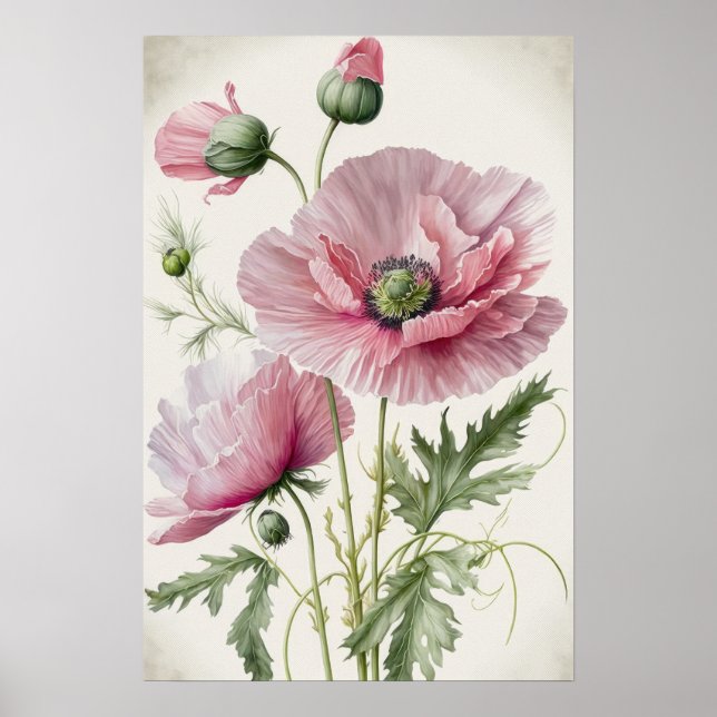 Pink Poppy Blume Art Print Poster (Vorne)